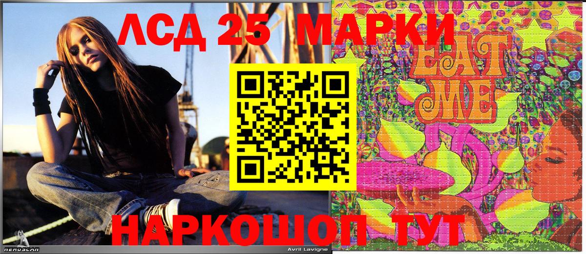 купить наркотики цена  Марки NBOMe 1500мкг  Новодвинск  Марки N-bome  Вход с VPN  Марки NBOMe 1500мкг 