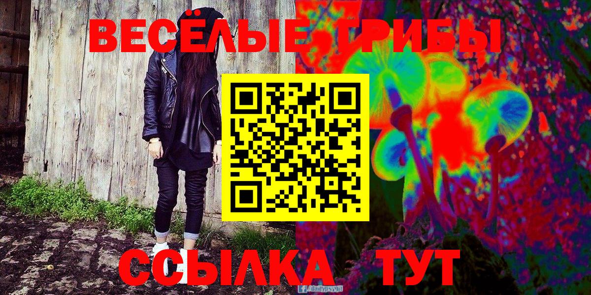 Галлюциногенные грибы Cubensis Новодвинск